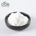 6-bencilaminopurina 98% Tech Powder /6BAP