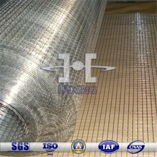 SUS Stainless Steel Welded Wire Mesh Roll