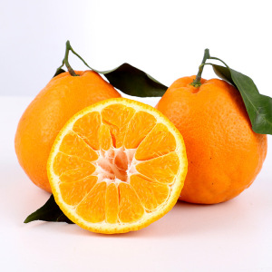 Verde anaranjado fresco de la fruta como naranjas de la exportación