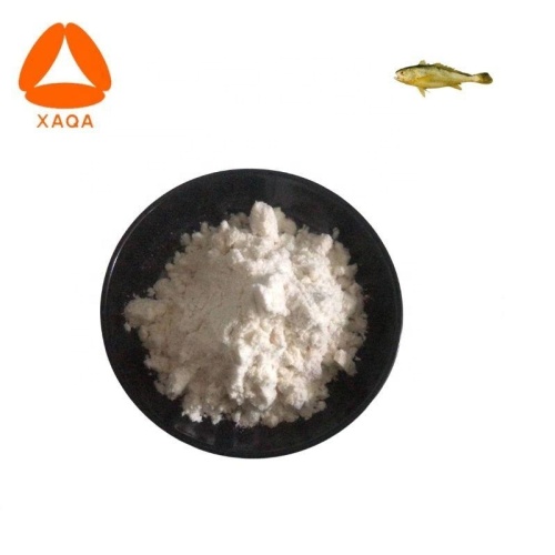 Nutritional Supplements Pure Fish collagen /marine fish collagen powder Supplier
