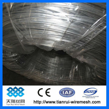 Galvanized wire / GI binding wire / Electrol galvanized wire