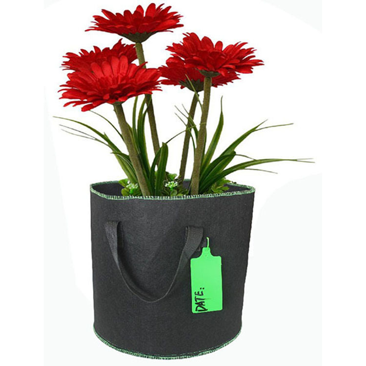 Skyplant Nonwoven Fabric Grow Bag For Plants