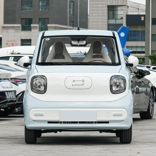 小型实惠电动车