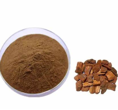 Pine Bark Extract for Enhanced Health Benefits