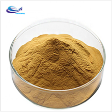 Pure Polypodium Leucotomos extract powder for sale