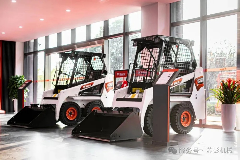 Bobcat7