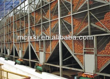 citrus juice processing machines(Newly Hot Sale)