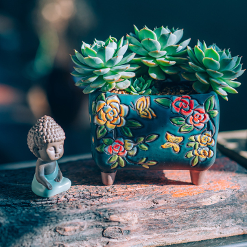 Petites pots de plantes succulentes en céramique peintes à la main pour le jardinage intérieur