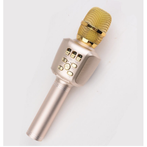 Home KTV portable microphone