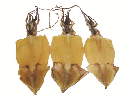 DRIED SQUID (NORTH PACIFIC)