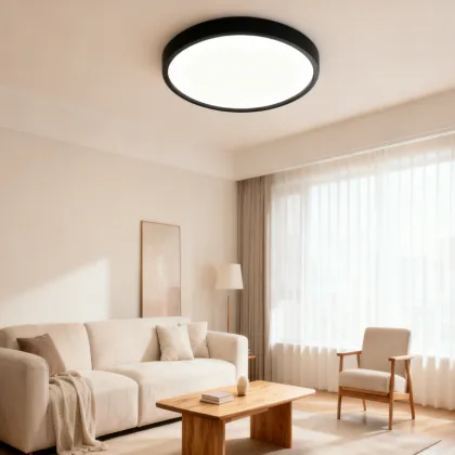Balanced lighting ceiling lamp