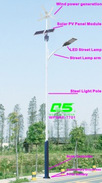 WPSRR-7701 3~15m Municipal Road Hot DIP Galvanized Steet Light Pole style