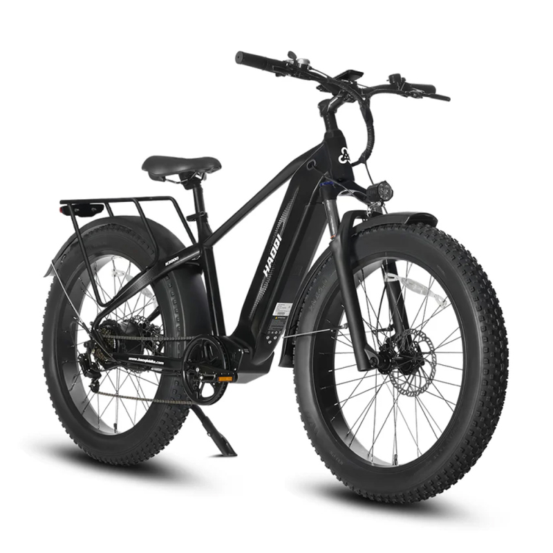 Leopard Pro 48V 20Ah Fat Tire Electric Bike