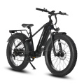 Bicicleta eléctrica con neumáticos anchos Leopard Pro 48V 20Ah