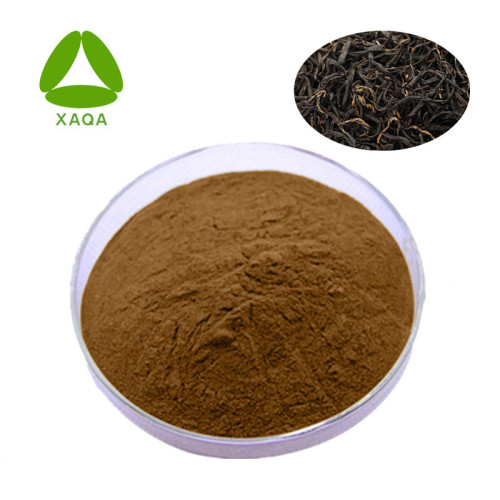 Black Tea Extract Powder 10: 1 Theaflavin