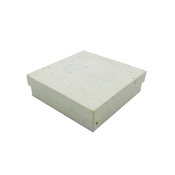 White simple electronics paper box