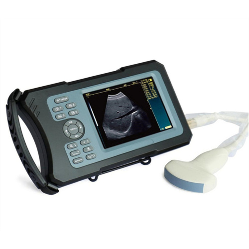 Dog Ultrasound Cost Near Me Cheapest Veterinary Ultrasound Machine for Animal Manufactory