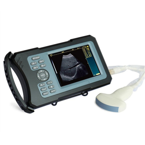 Cheapest Veterinary Ultrasound Machine for Animal