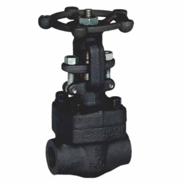 forged steel female thread, socket weld gate valve