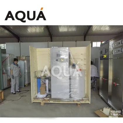 Automatic 100LPH HOCl Water Ionizer - Industrial Hypochlorous Acid Water Ionizer 200PPM