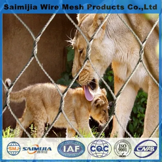 animal wire mesh fence(professional,high quality)