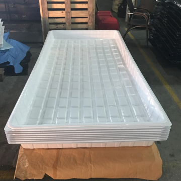Large Plastic Thermoforming Manufacturing Plant