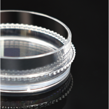 Platos de cultivo celular de 35 mm con anillo de agarre
