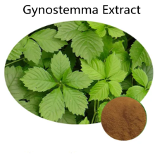 Buy online active ingredients Gynostemma Extract powder