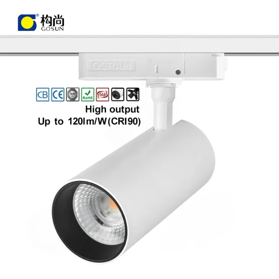 Color Forged Aluminium 42W Super Brightness Up to 120lm/W Flicker-Free Anti-Glare COB LED Track Light Dia88*L175mm