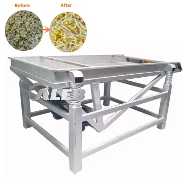Hot Sale Bean Sprout Cleaning Machine & Mung Bean Sprout Washing Machine: Efficient Solutions for Agricultural Processing