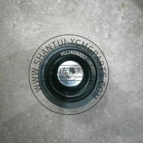 Sinotruk Truck Parts Mesin IDLE Pulley VG1246060057