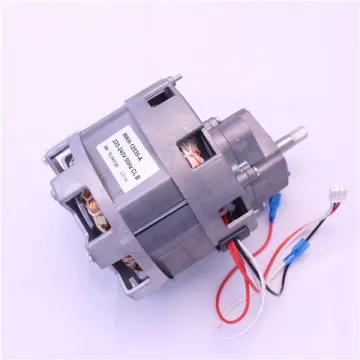 slow juicer ac motor