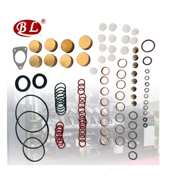 Repair Kit 2417010022 for Fuel Pump