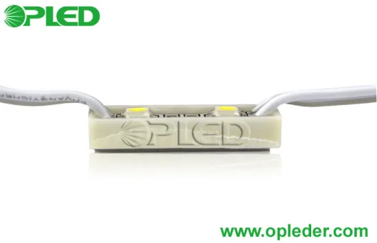 Mini Blue 2 Led Module , Dc 12 Volt Flashing Led Module For Signs