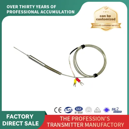 Needle-shaped special thermal resistance lead
