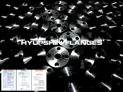 CL D Hub Blind Forging AWWA C207 Flanges