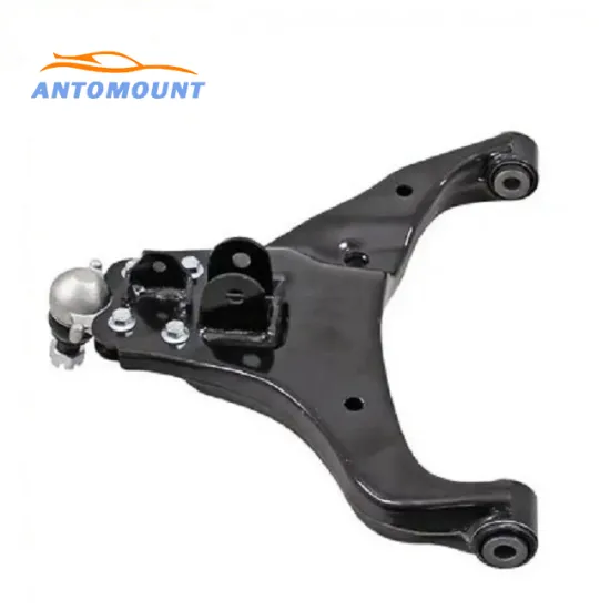 Wholesale Price for Front Lower Control Arm Isuzu D-Max 2006-2012 (8981621640-8981621650)