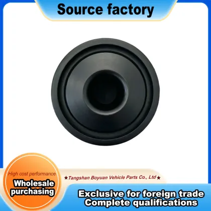 Premium Injection TPE Automotive Dust Plug Solution