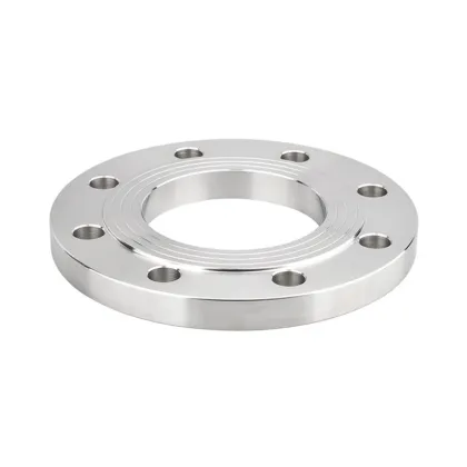 Stainless Steel plate flange