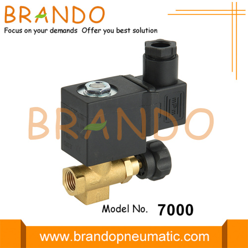 Válvula solenoide de hierro de vapor 7000 Tipo de olab 220VAC