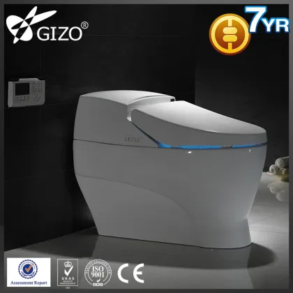 Sanitary Ware ceramic WC Smart Toilet