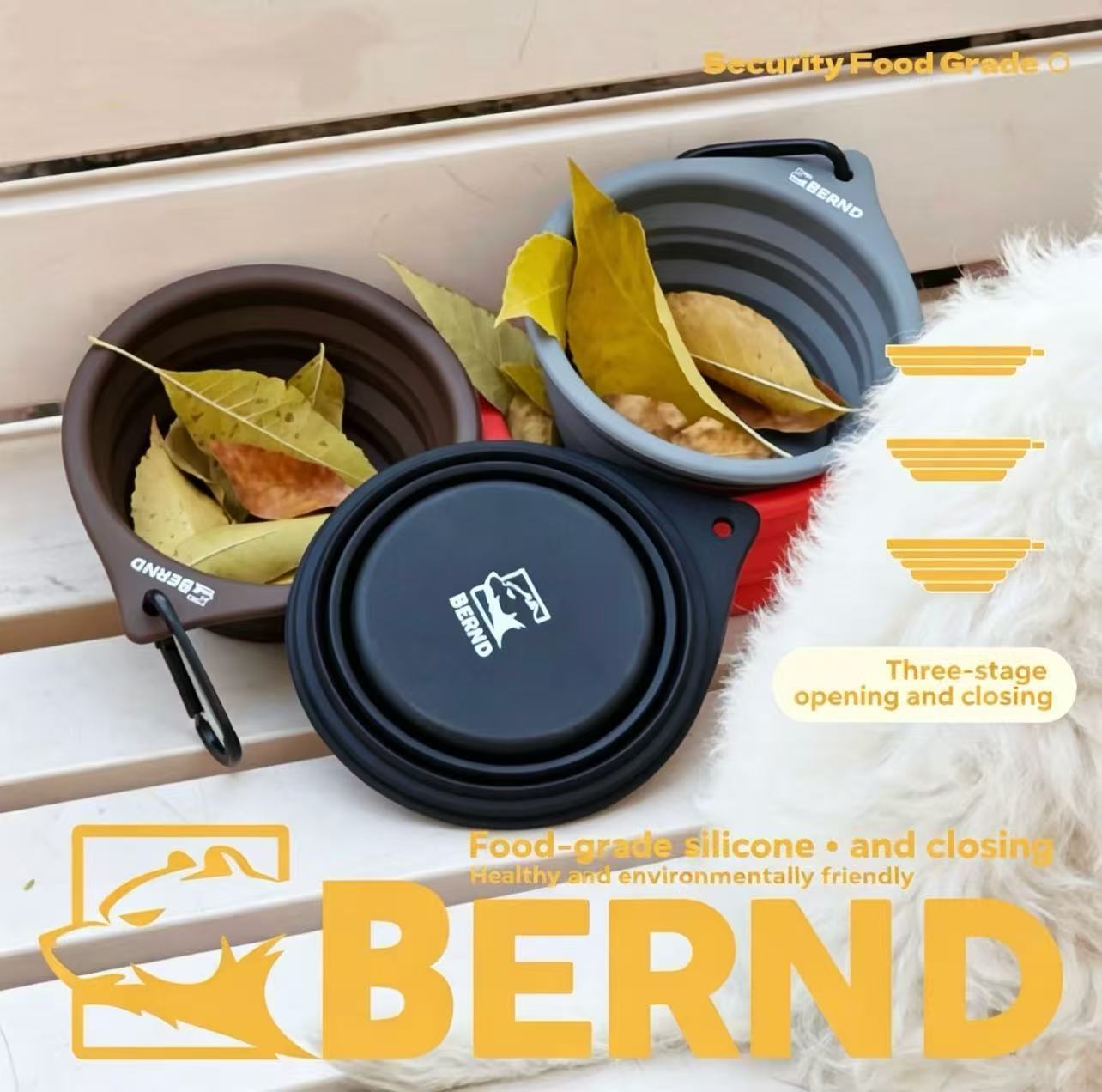 Pet Feeding Bowl