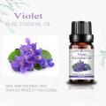 Pure Violet Essential Oil Perfume Organic Natural Essential Extrato