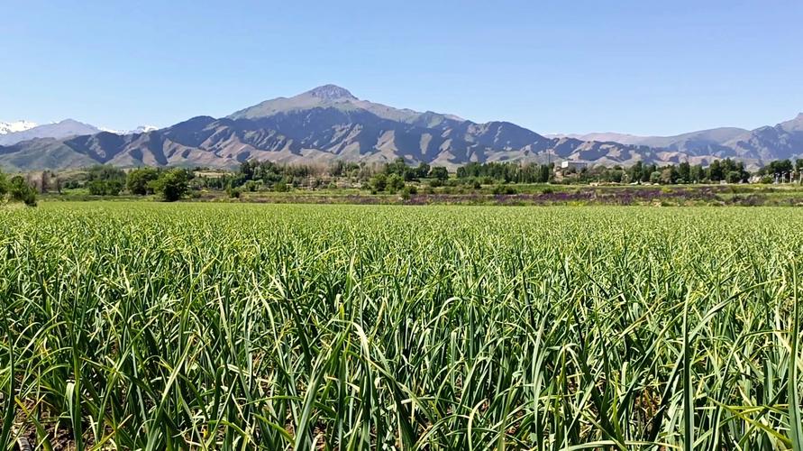 65558edf4ff9ae9549fe136b5588a49e