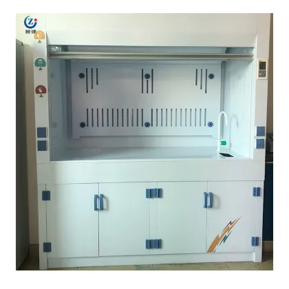 Portable Laboratory Fume Hood and Biosafety Cabinet for School Lab Safety