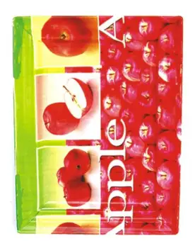 HW9965,PLASTIC PLATE