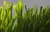 Better than nature football artificial grass