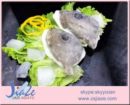 Frozen John Dory fillet seafood