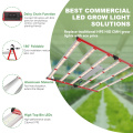 Customized Hydroponics Led Grow Light for Indoor Garden