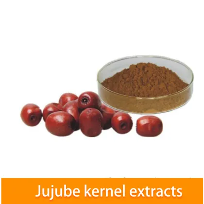 Jujube kernel extract Powder hot sell